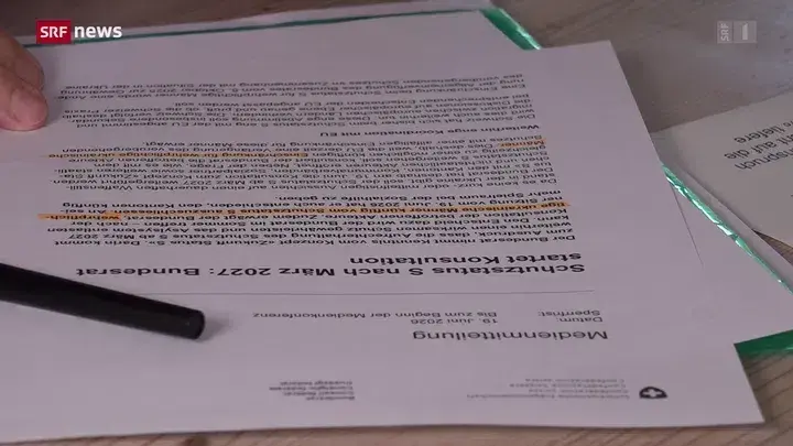 Статус S: рішення Федеральної ради очікується до кінця літа